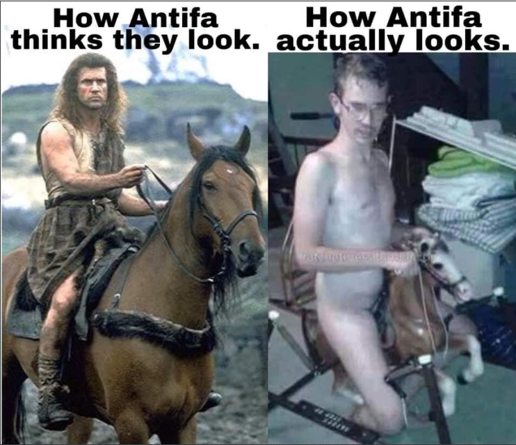 mel gibson antifa