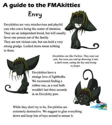 envy kitty