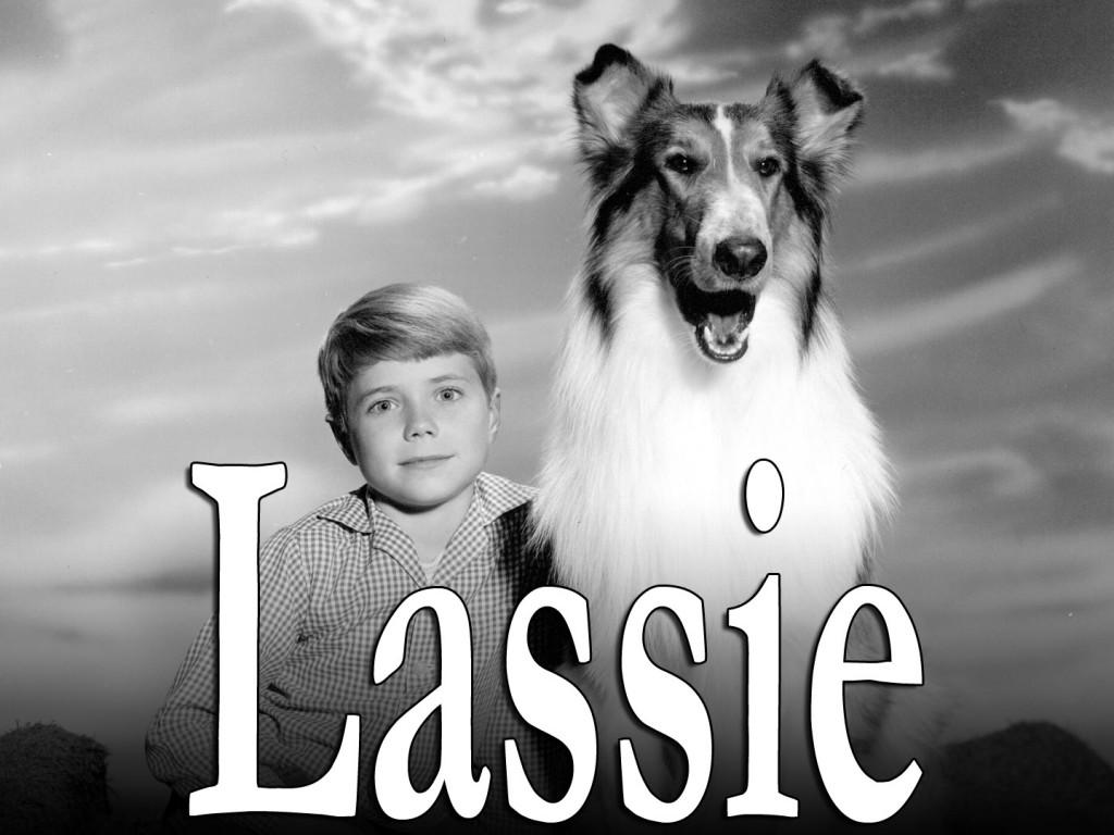 lassie29d34d203