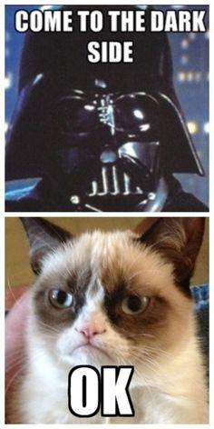 e0a0ba380846cb1f2e7e14d73a0b267d--grumpy-cat-meme-hilarious-grumpy-cat-memes