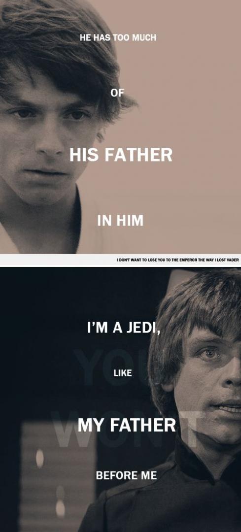 81dd32992f5853fa9231c460fec2560c--star-wars-anakin-skywalker-luke-skywalker-funny