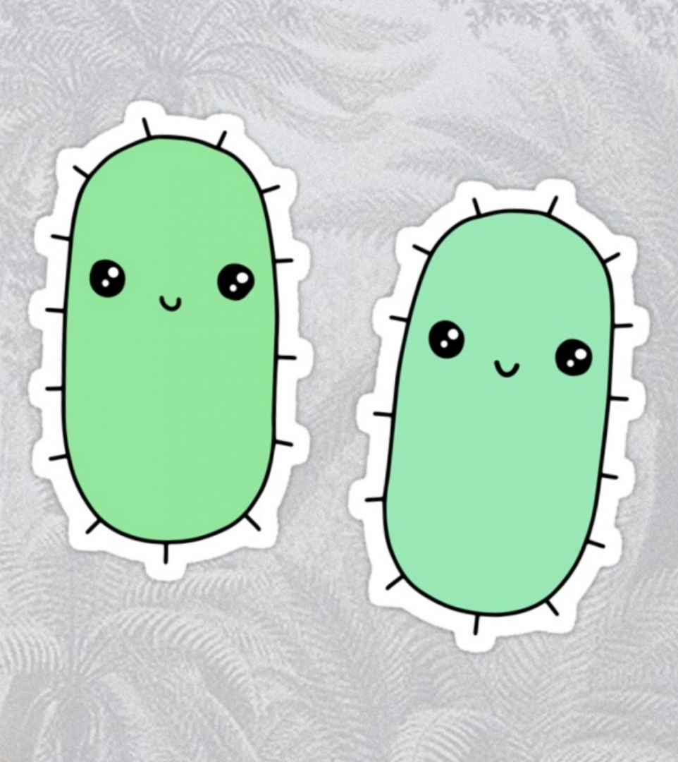 kawaii microbes