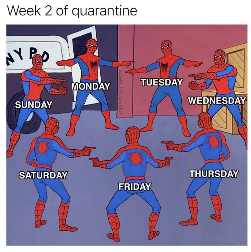 week-2-of-quarantine-spiderman-coronavirus-meme