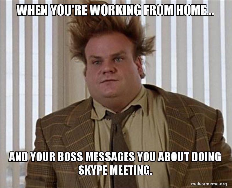 work-skype-meeting