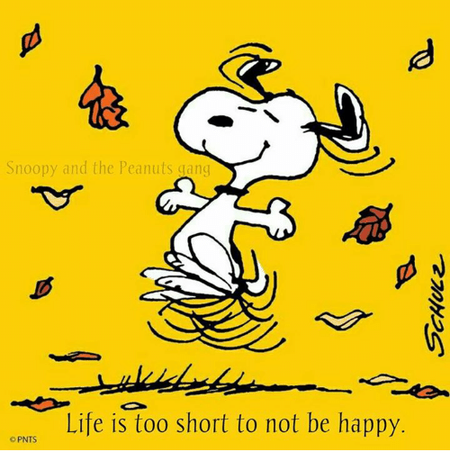 snoopy-and-the-peanuts-gang-life-is-too-short-to-6614583