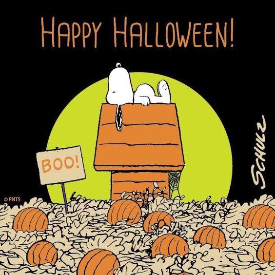 340499-Snoopy-Pumpkin-Patch-Happy-Halloween-Quote