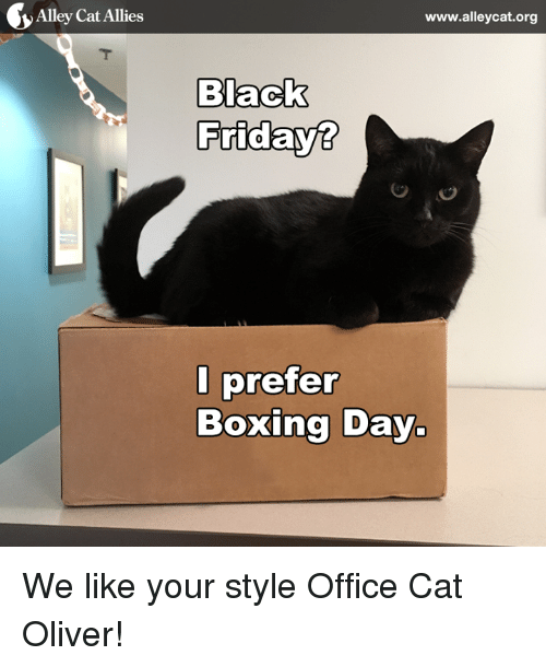 alley-cat-allies-www-alleycat-org-nack-fridays-i-prefer-boxing-day-7482182