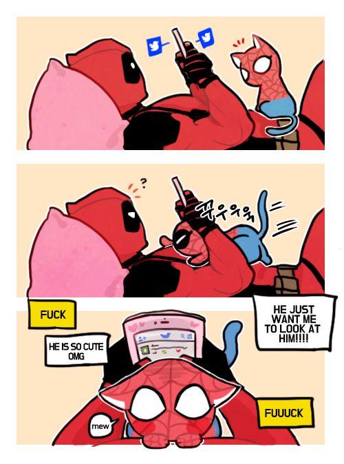 deadpool & spider-cat