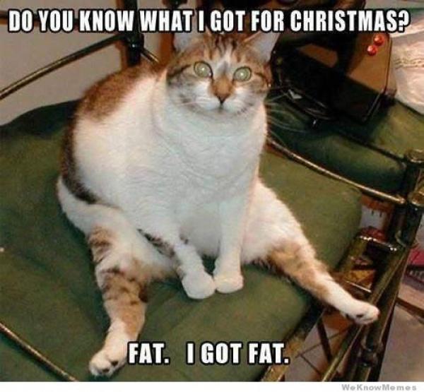 fatforchristmas