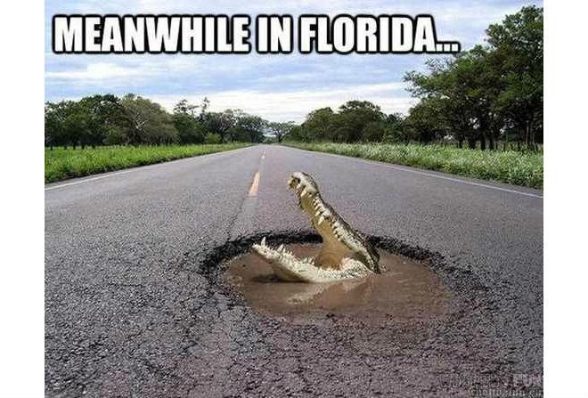 meanwhile-in-florida