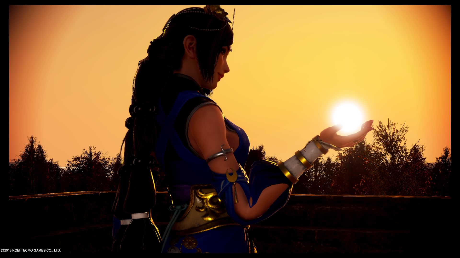 DW9 Screenshot 8