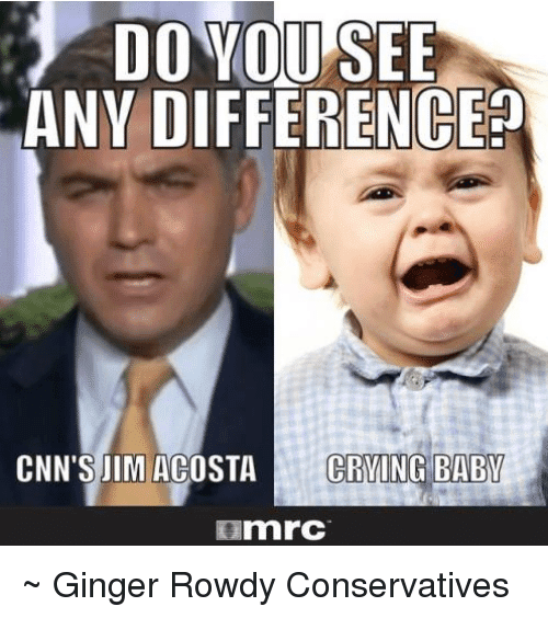 do-vou-see-anv-difference-cnns-jim-acosta-crving-babw-27664744