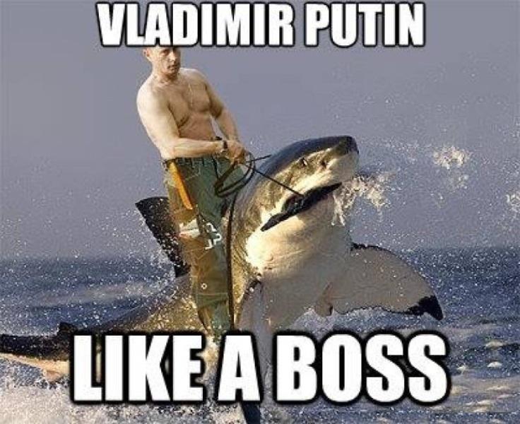 Vladimir-Putin-Like-A-Boss