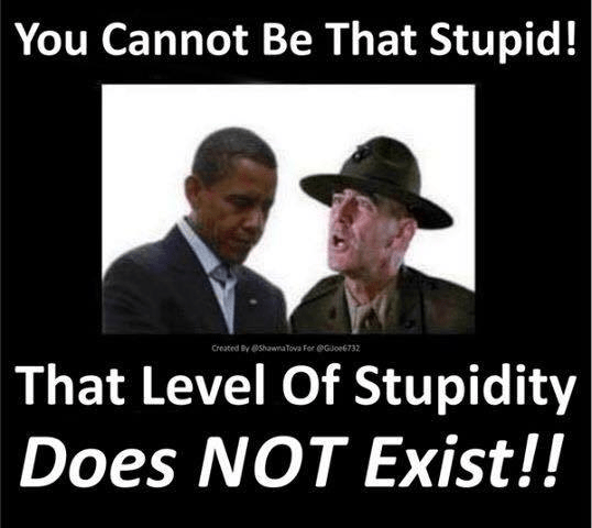 Ermey-on-stupidity-and-Obama