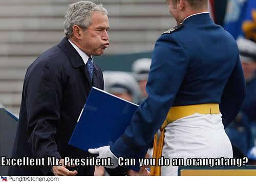 Excellent-Mr.-President.-Can-You-Do-An-Orangatang-Funny-George-Bush-Meme-Picture