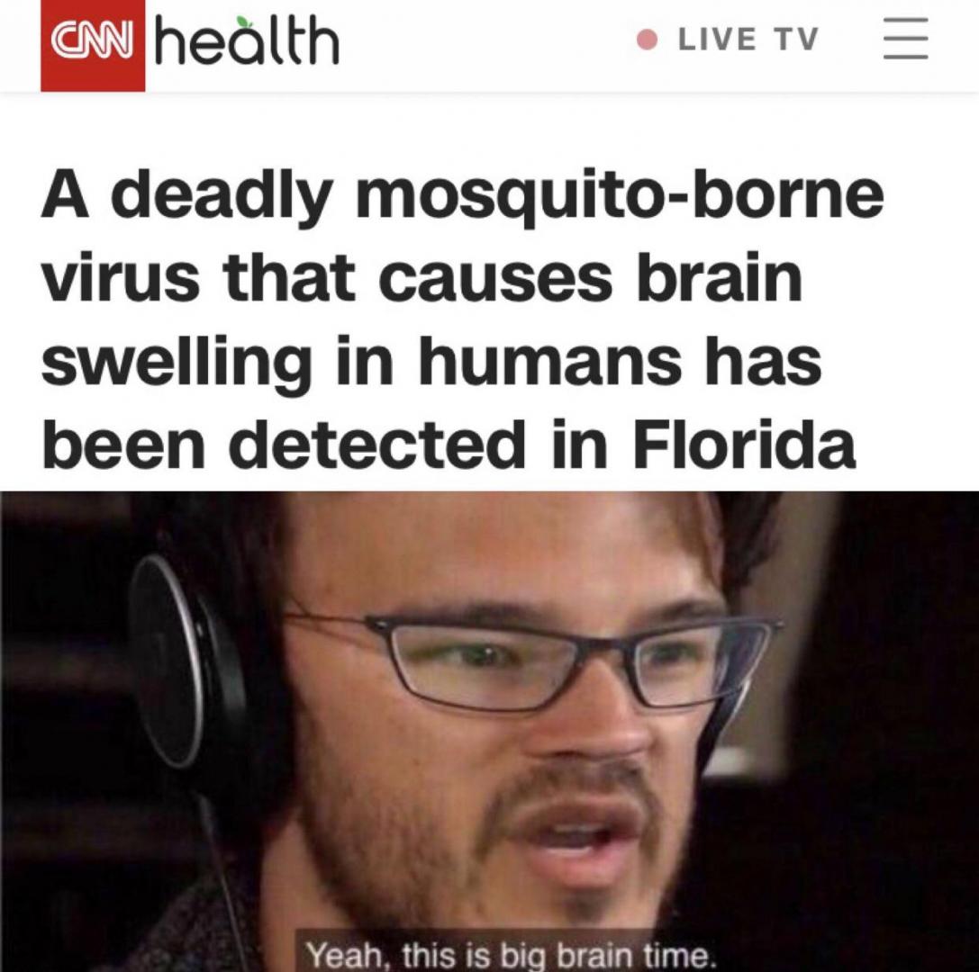 dank-memes-cnn-health-mosquito-big-brain6