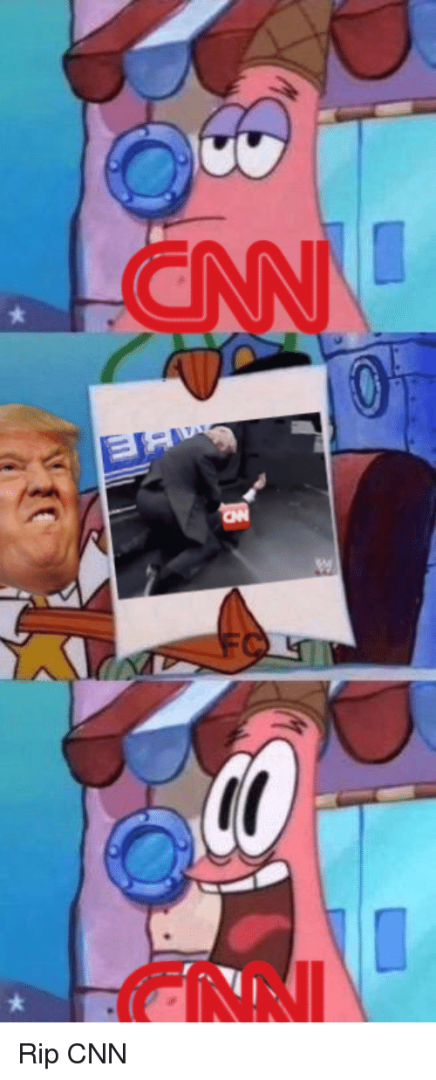 rip-cnn-24767251