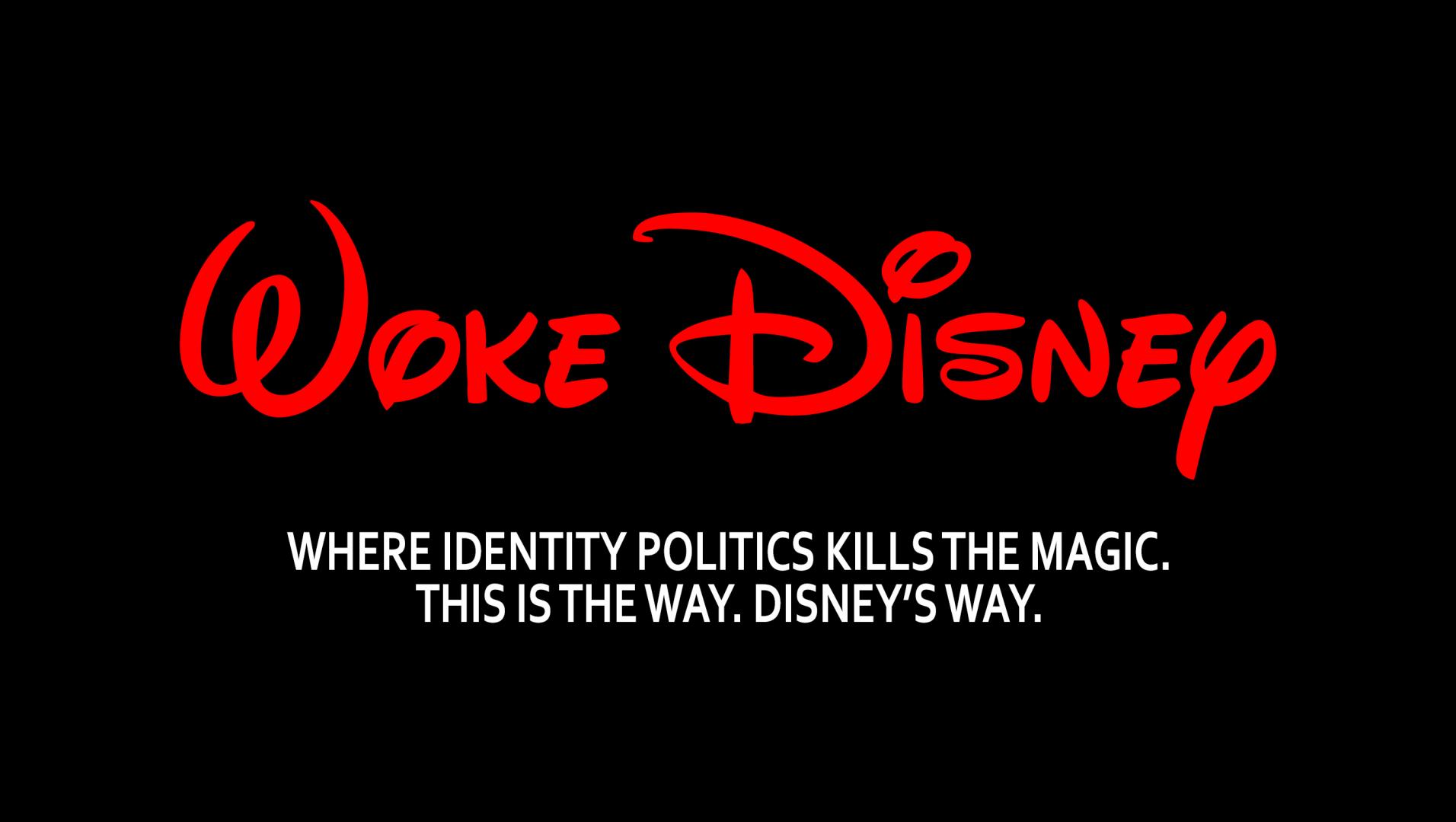 DISNEY SO WOKE meme #3