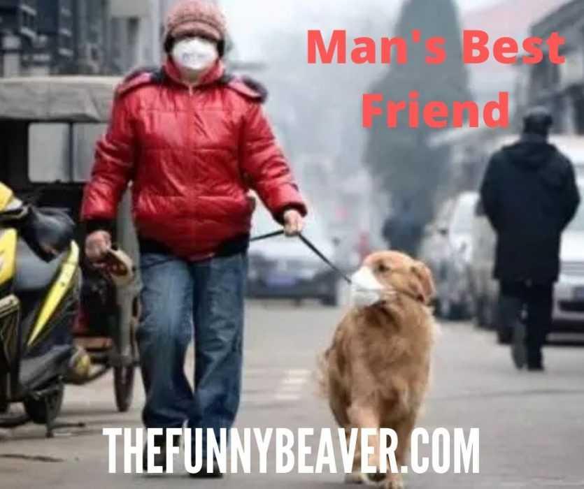 funny-face-mask-mans-best-friend