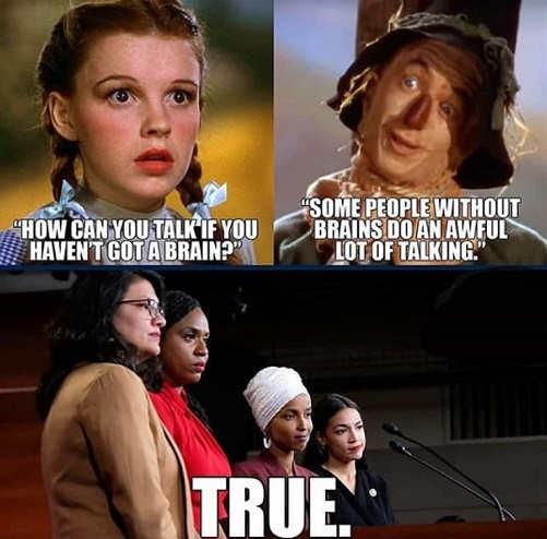 dorothy-how-can-talk-if-havent-got-brain-squad-aoc-omar-tlaib-true