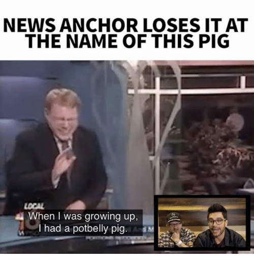 news-anchor-loses-it-at-the-name-of-this-pig-14047717