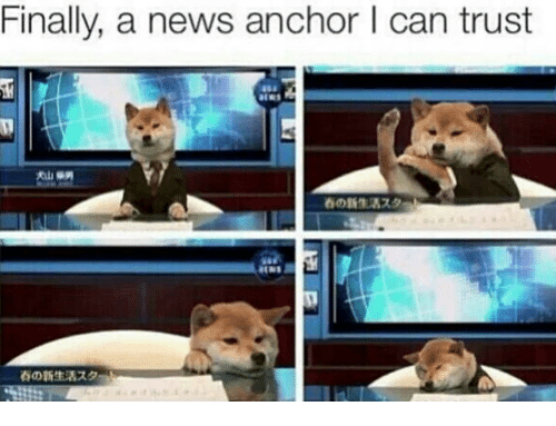 finally-a-news-anchor-l-can-trust-19030711