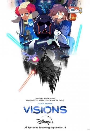 swvisions