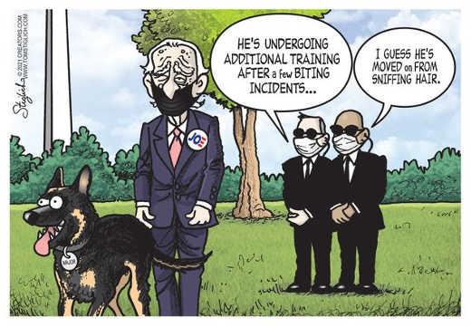 joe-biden-dog-moved-on-training-sniffing-hair