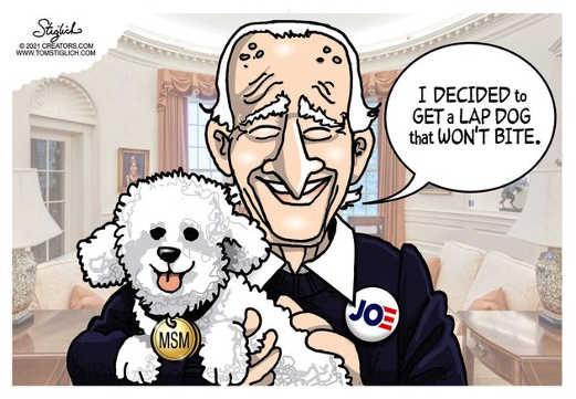 joe-biden-lap-dog-wont-bite-mainstream-media-poodle