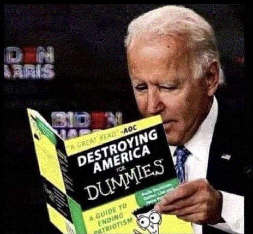 aoc-joe-biden-destroying-america-for-dummies