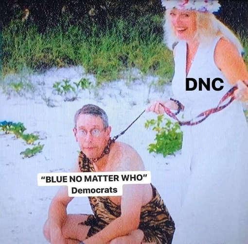 dnc-blue-no-matter-who-democrats-carole-baskin-husband