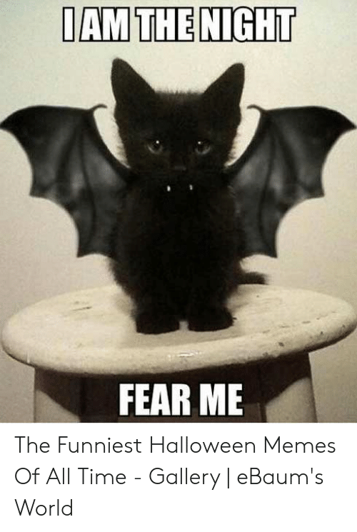 i-am-the-night-fear-me-the-funniest-halloween-memes-53092650