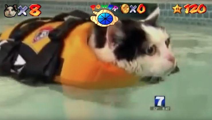 Cat-Super-Mario-64-meme