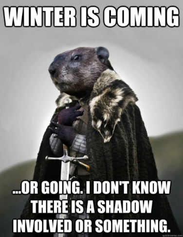 funny-groundhog-day-memes-7-1549036740612-1549036745773-376x488