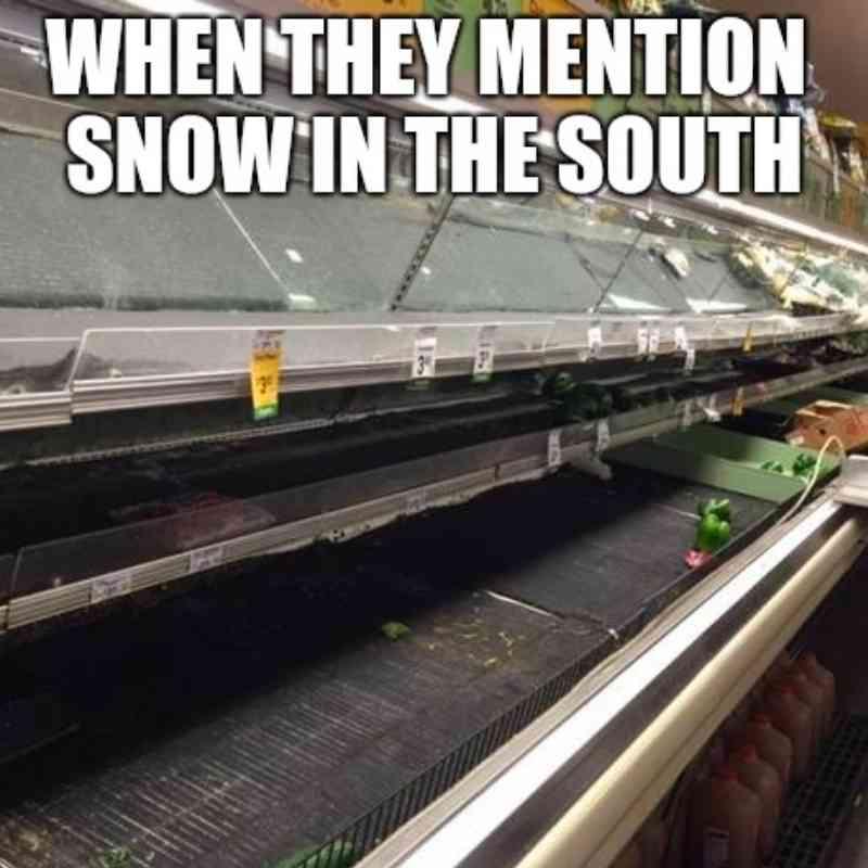 groceries-snow-storm-meme