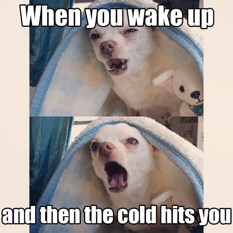 55-Funny-Winter-Memes-11