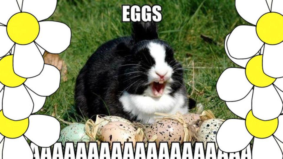 easter-memes-hero_620x349