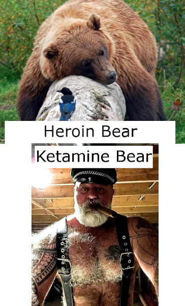 Cocaine_Bear_trilogy