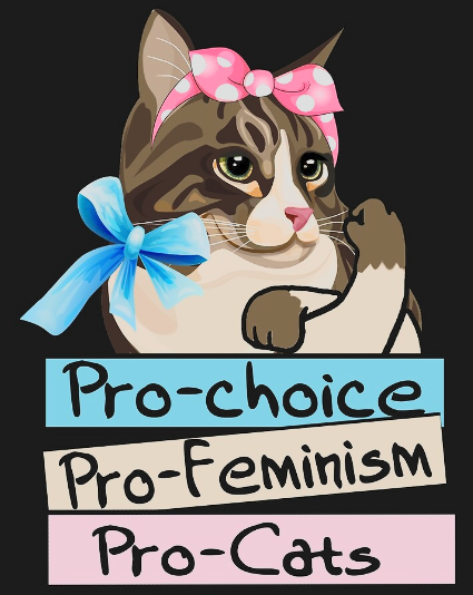 pro feminism